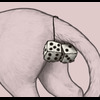 A Pair of Fuzzy Dice[M|Jaglion]